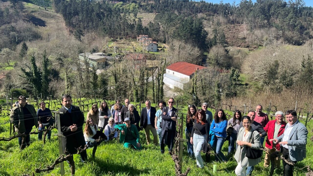 ECOSPHEREWINES consorcio