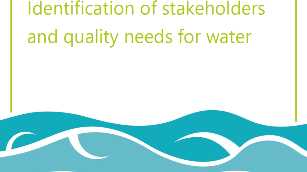 identification of the stakeholdersss