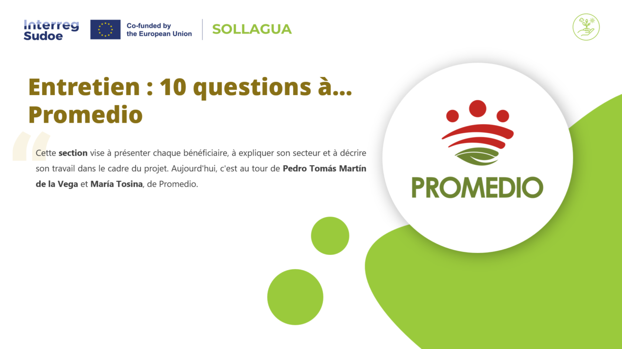 promedio entrevistaaa