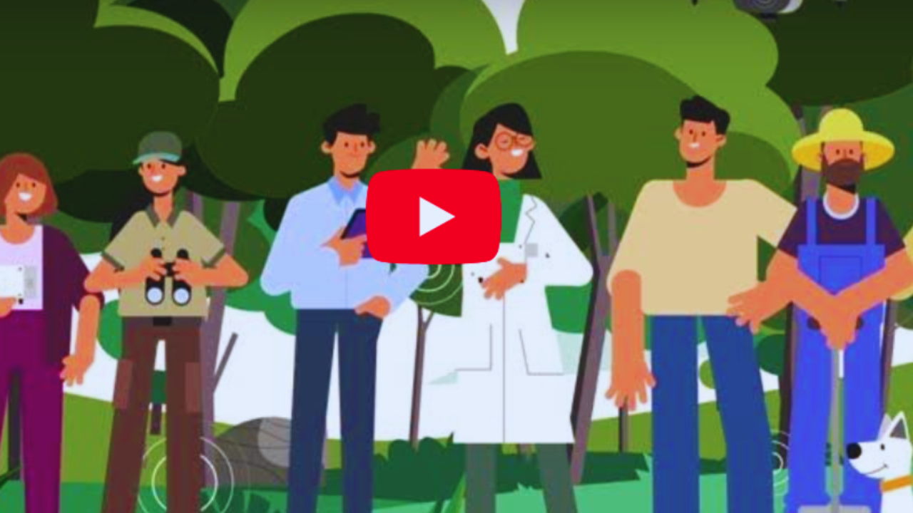 senforfire_video_provisional